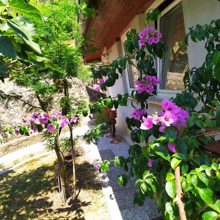 شقة Lili House بورتوروز المظهر الخارجي الصورة