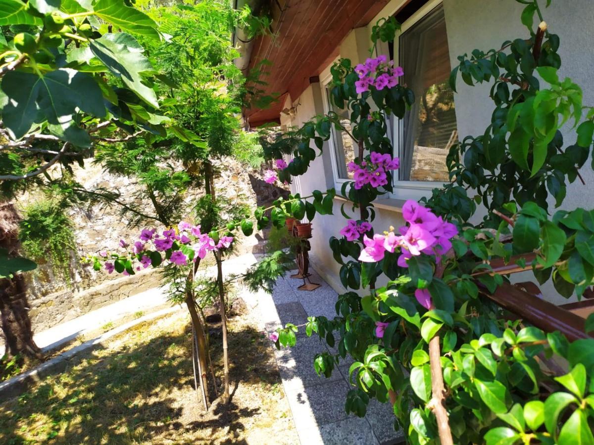 شقة Lili House بورتوروز المظهر الخارجي الصورة